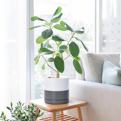 D'vine Dev 8.2 Inch Ceramic Planter Pot with Drainage Hole and Saucer, Indoor Cylinder Round