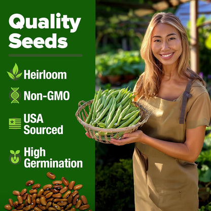 HOME GROWN 𝗨𝗦𝗔 𝗣𝗥𝗘𝗠𝗜𝗨𝗠 Contender Bush Bean Pack - 28 𝗡𝗢𝗡-𝗚𝗠𝗢 Heirloom Green Beans