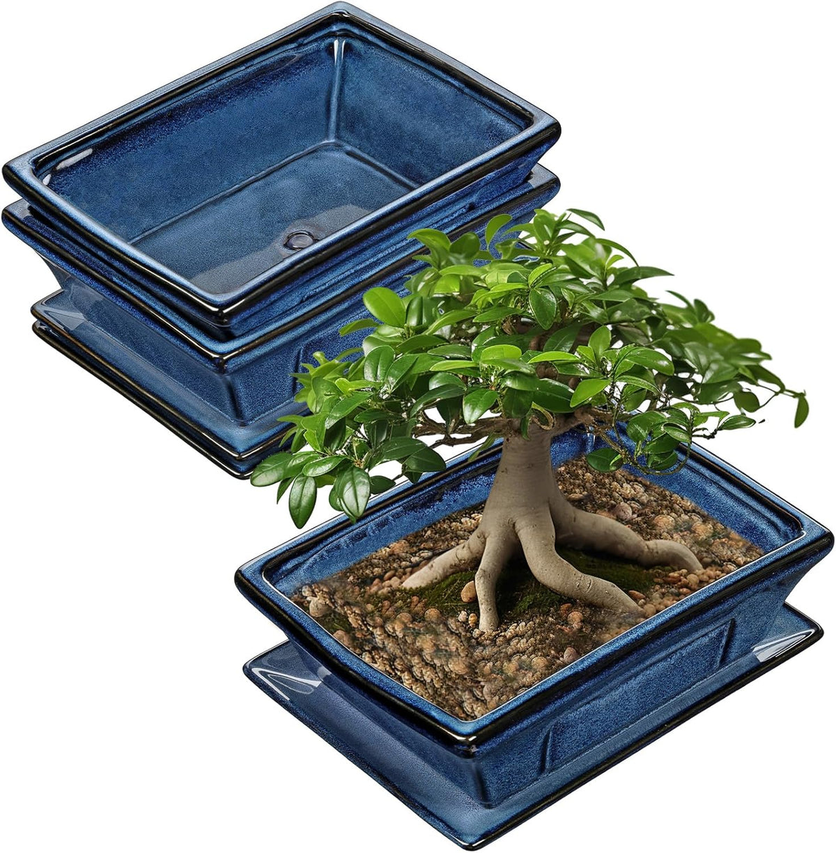 Large Ceramic Bonsai Pots with Drainage Trays Set of 2, 10" Blue Glazed Bonsai Planters for