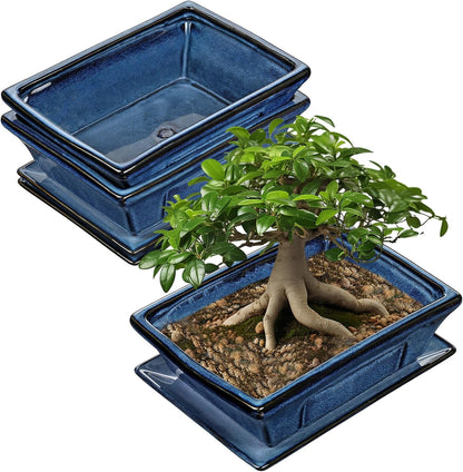 Large Ceramic Bonsai Pots with Drainage Trays Set of 2, 10" Blue Glazed Bonsai Planters for