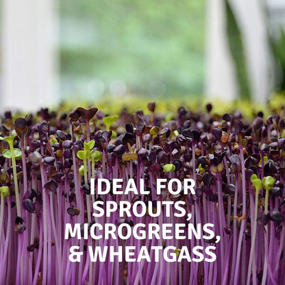 Micro-Mats Hydroponic Grow Pads - for Organic Production - 10 Pack - Plant & Seed Germination: