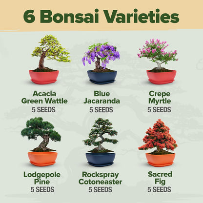 HOME GROWN 𝗨𝗦𝗔 Bonsai Tree Kit – 6 Heirloom Varieties with Unique Pots – DIY Bonsai Starter Kit