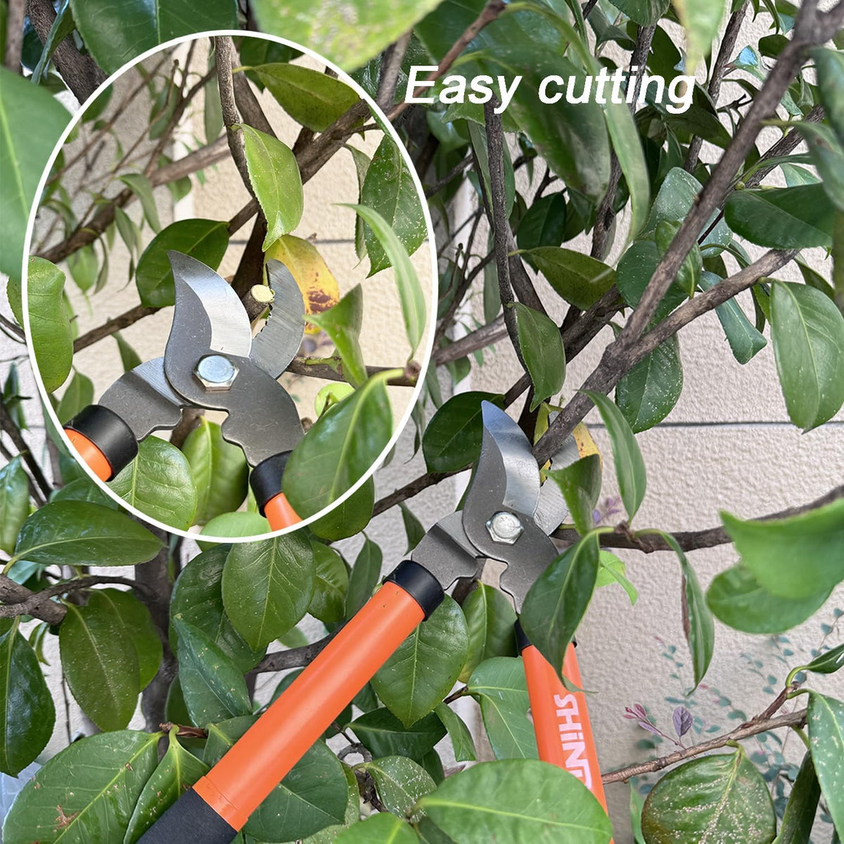 SHIND Lopper Heavy Duty Branch Cutter Tree Clippers with Compound Action, Chops Thick Branch Ease