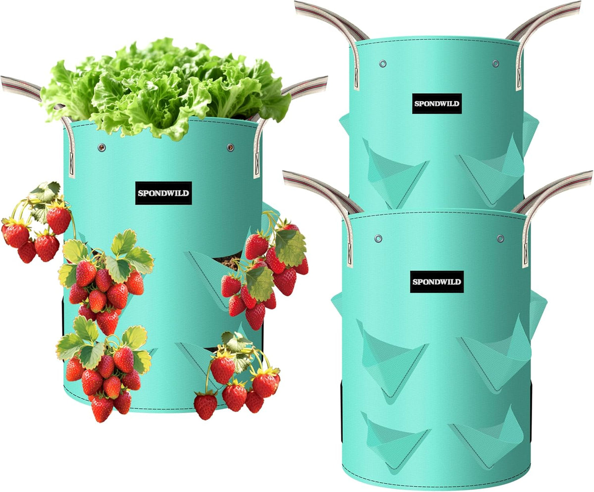 3 Pack 10 Gallon Strawberry Grow Bags, Heavy Duty Reusable PE Pots with Breathable Window, Branch &