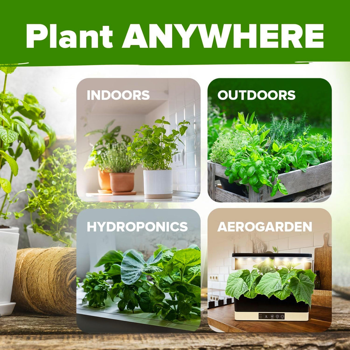HOME GROWN 10 Herb Seeds for Planting 3,000+ Non-GMO Heirloom Seeds | Extra Large Variety Pack Herb