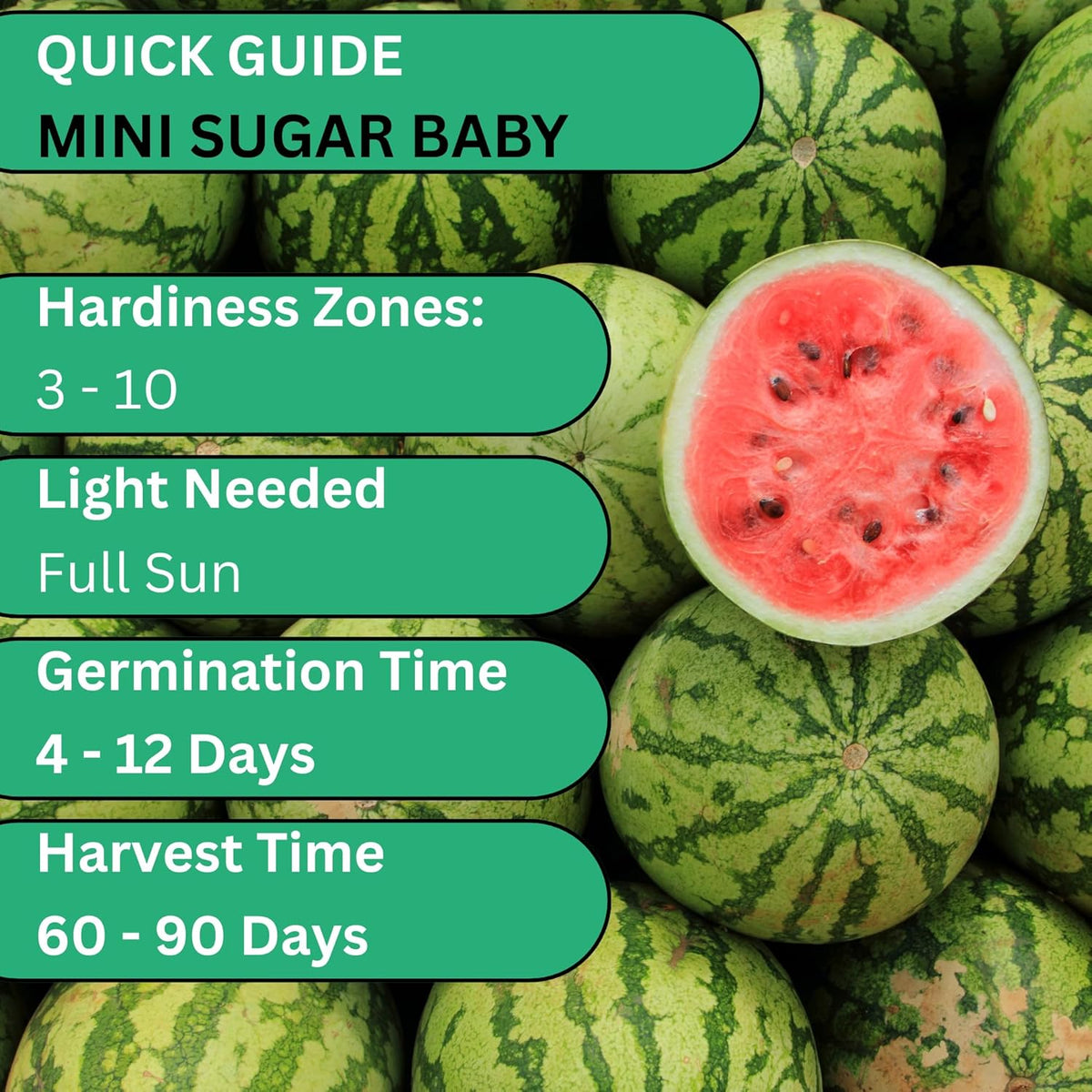 Woods Creek Seeds: Sugar Baby Watermelon Seeds for Planting - Over 90 Heirloom Watermelon Seed Pack