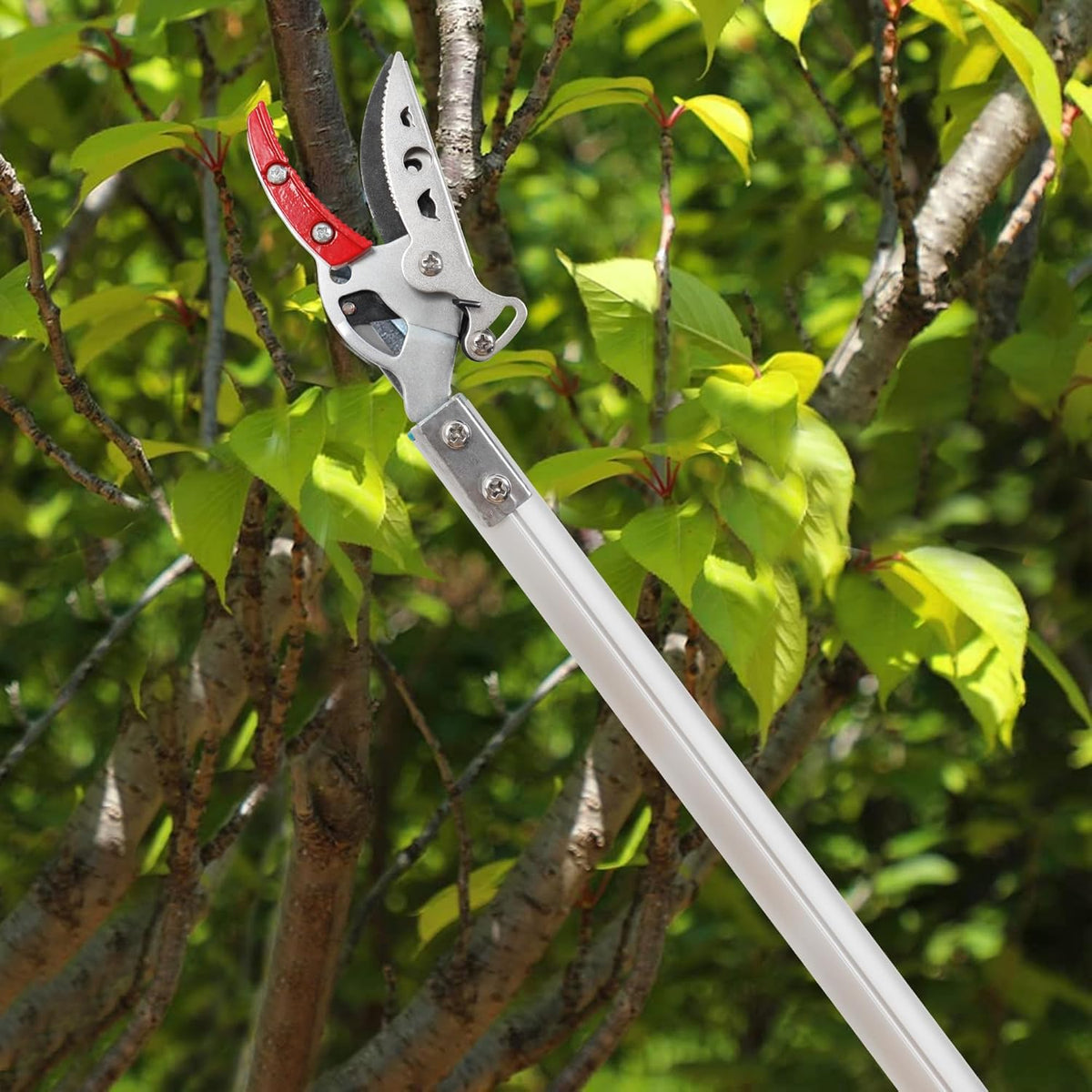 GARTOL Cut & Hold Pole Pruner, 4.2 FT Lightweight Fruit Picker with 180° Rotating Handle, SK5 Steel