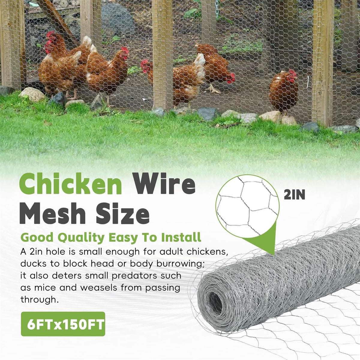 HOSTIC 6FTx150FT Chicken Wire Netting 2IN Galvanized Wire Mesh Hexagonal for Poultry Garden Fencing