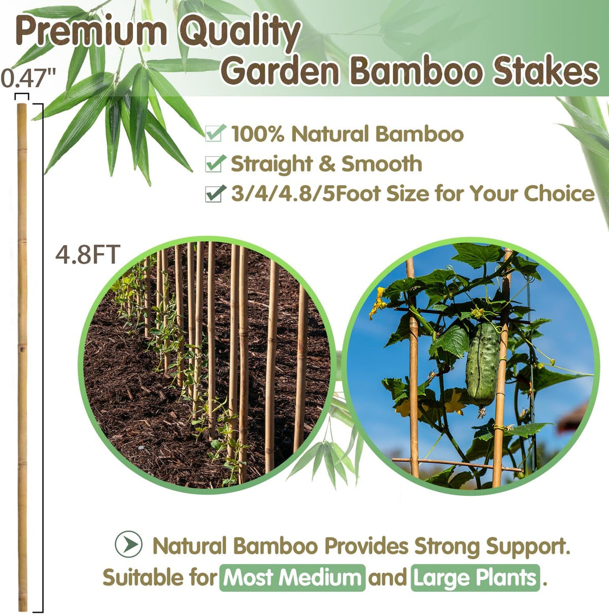 Bamboo Stakes,4.8FT Natural Bamboo Garden Stakes,BOVITRO 20Pcs Plant Stakes,Bamboo Sticks for