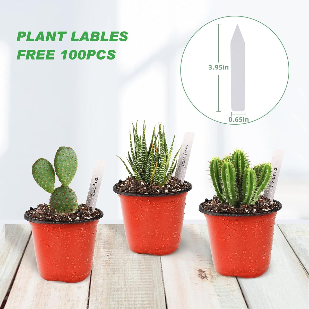 TDHDIKE 4" Small Plastic Plant Nursery Pot/Pots (100pcs) Seedlings Flower Plant Container Seed