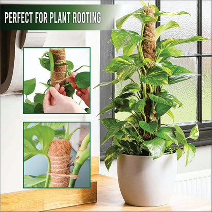 Moss Pole Pack of 4 – 50CM Monstera Plant Support | Natural Coco Coir Plant Poles for Indoor Plants