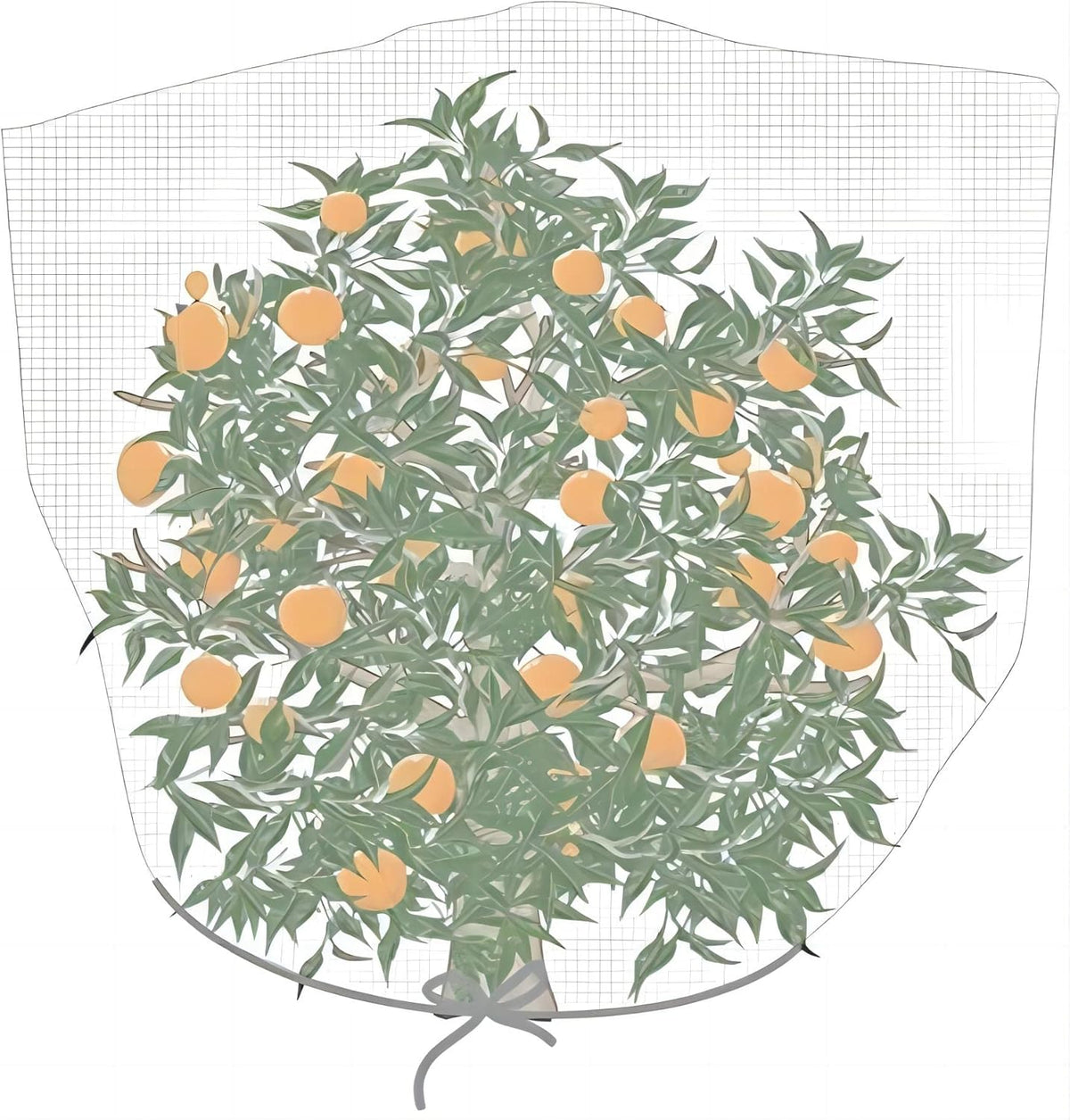 Agfabric Fruit Tree Netting Protection Bag with Drawstring,6.5x9.1 FT Garden Netting Insect Pest