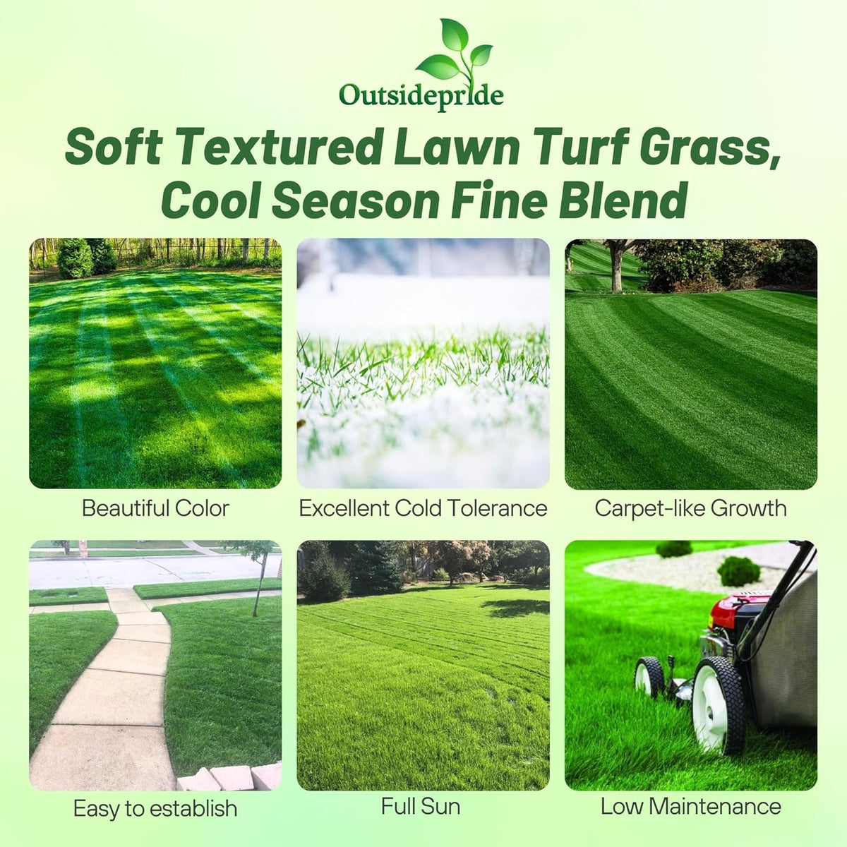 Outsidepride Midnight Kentucky Bluegrass Seed - 10 Lbs. Cold & Drought Tolerant, Sun-Loving Lawn