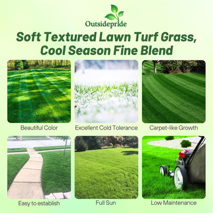 Outsidepride Midnight Kentucky Bluegrass Seed - 10 Lbs. Cold & Drought Tolerant, Sun-Loving Lawn