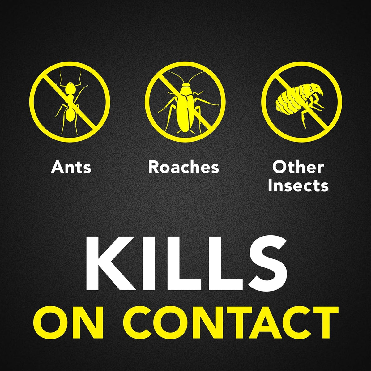 Raid Ant & Roach Killer 26, Fragrance Free Bug Killer for Home Use, Kills Bugs on Contact, 17.5 Oz
