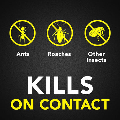 Raid Ant & Roach Killer 26, Fragrance Free Bug Killer for Home Use, Kills Bugs on Contact, 17.5 Oz