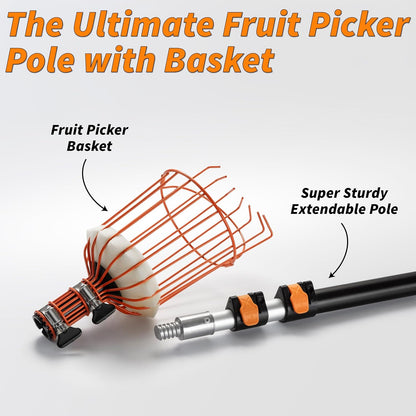 Fruit Picker Pole with Basket Telescoping 5-24 ft Apple Picker Extension Pole // Telescopic Fruit
