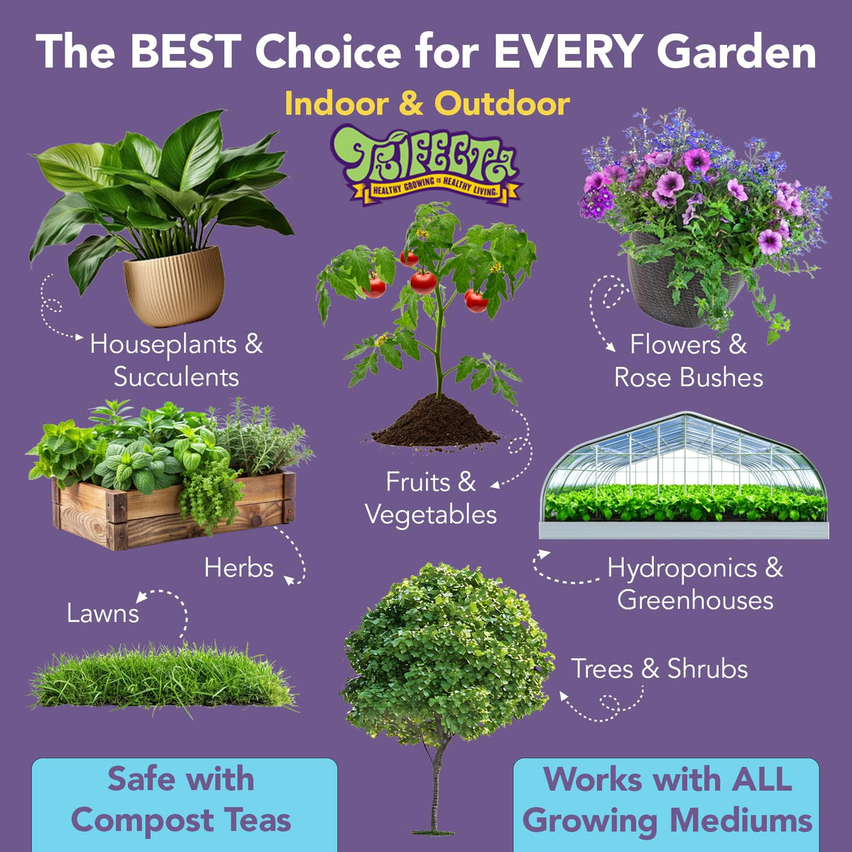 Mycorrhiza for Soil, Root Stimulator for Plants, Ultra Concentrated Mycorrhizae for Plants Strong
