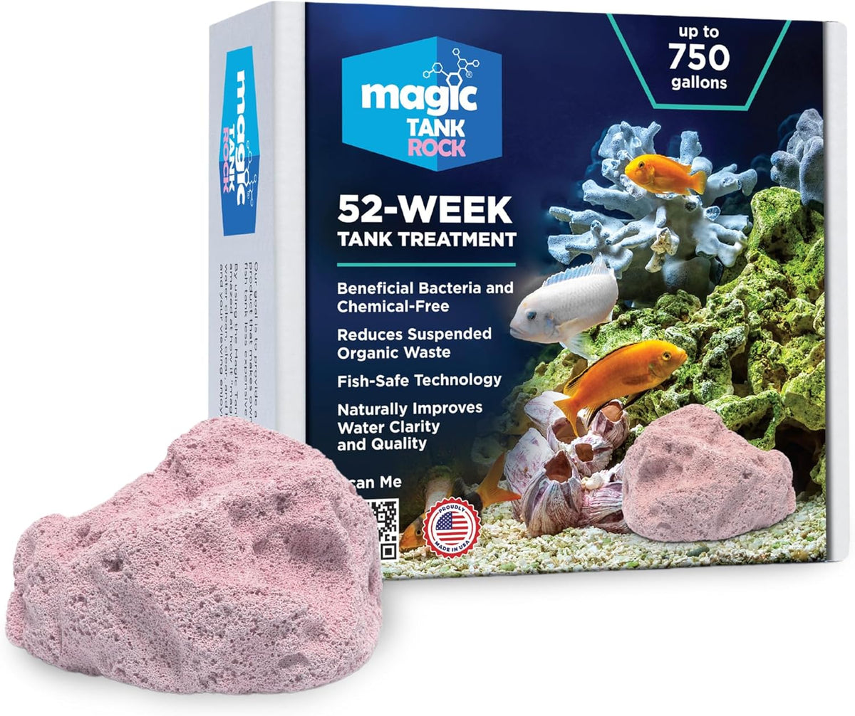 Fish Tank Rocks for Enhancing Water Clarity with Your Regular Cleaning Routine, Fish Friendly