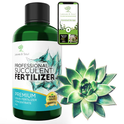 Professional Liquid Succulent Plant Fertilizer | 3-1-2 Concentrate for Plants and Flowers |