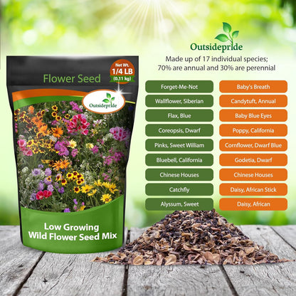 Outsidepride Low Growing Wildflower Seeds - 1/4 lb Dwarf, & Short, Diverse Perennial & Annual Wild