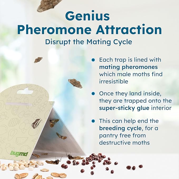 BugMD Pantry Moth Traps (6-Pack) – Pheromone-Based Sticky Glue Traps, Non-Toxic, Kills Indian Meal