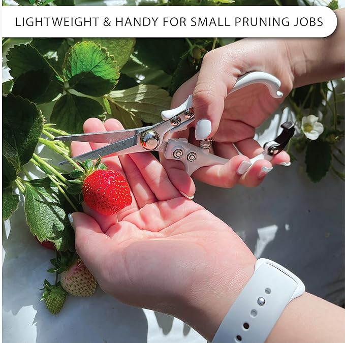 Plant Pruning Shears with Vegan Leather Sheath Garden Trimming Scissors with Belt Holster Bonsai