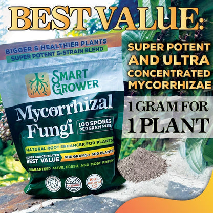 Mycorrhizal Fungi Organic Root Enhancer for Plants, Super Potent 100 Spores Per Gram, 5-Strain