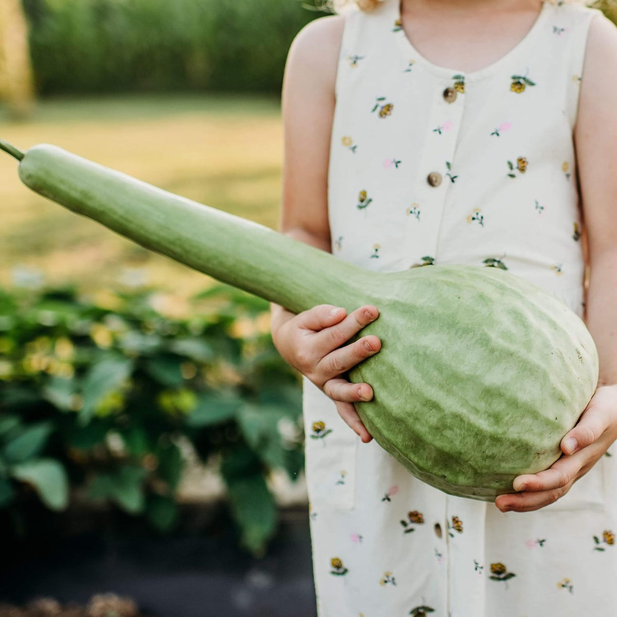 Long Handle Dipper Gourd - 25 Seeds - Heirloom & Open-Pollinated Variety, Non-GMO Vegetable Seeds