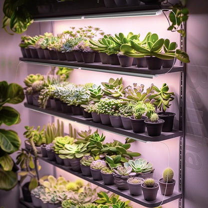 Barrina LED Grow Lights, Full Spectrum, 180W(6 x 30W, 1000W Equivalent), 3ft Grow Light Strips, T8