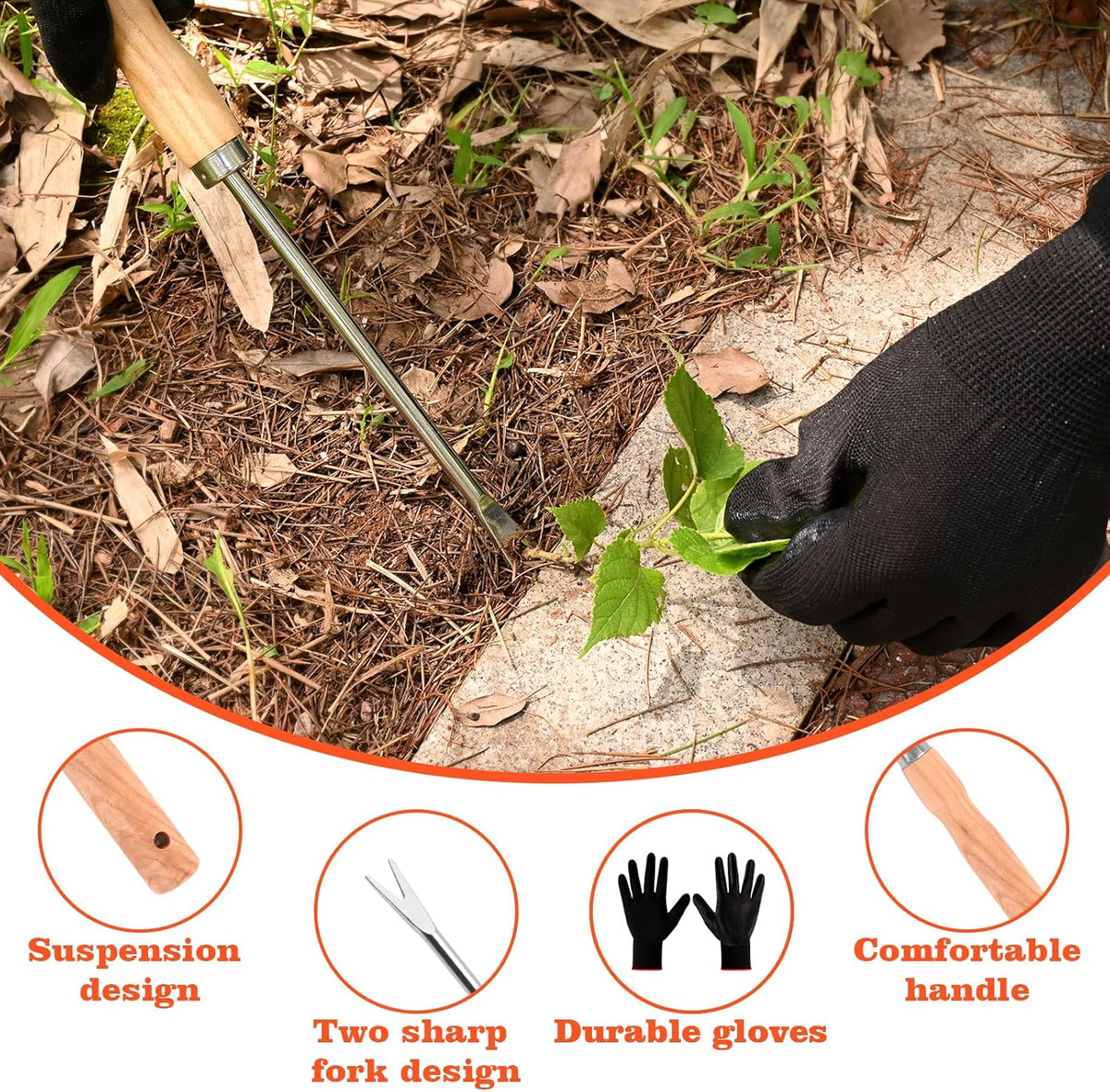 Wooden Handle Dandelion Weeder Tool - Polished Stainless Steel Dual - Forked Head Dandelion Weeder