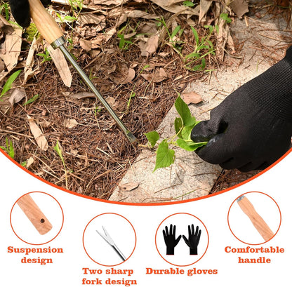 Wooden Handle Dandelion Weeder Tool - Polished Stainless Steel Dual - Forked Head Dandelion Weeder