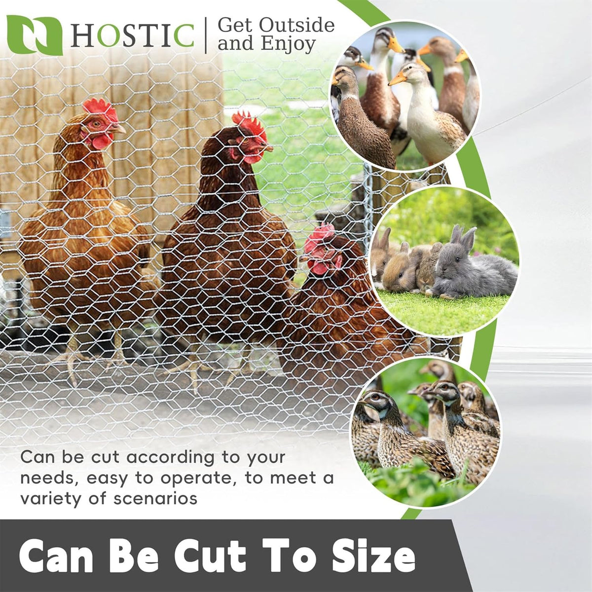 HOSTIC 4FTx150FT Chicken Wire Netting 2IN Mesh Galvanized Wire Hexagonal Fencing for Poultry Garden