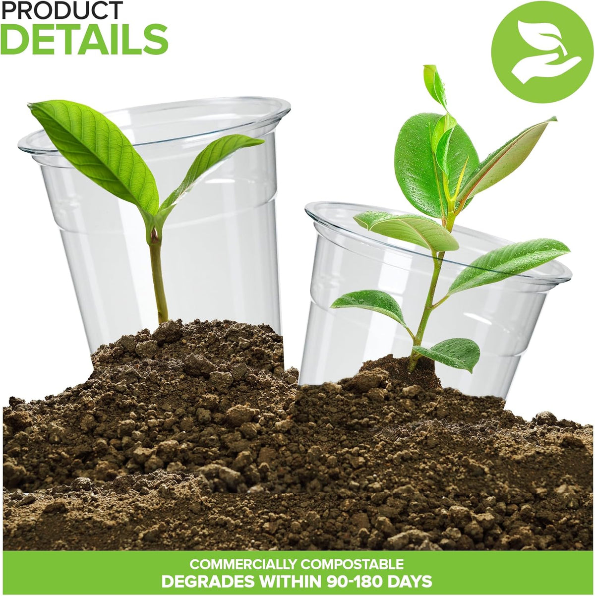 Stock Your Home 16 oz Premium Commercially Compostable Cold Cups (50 Pack), Eco Party Cup