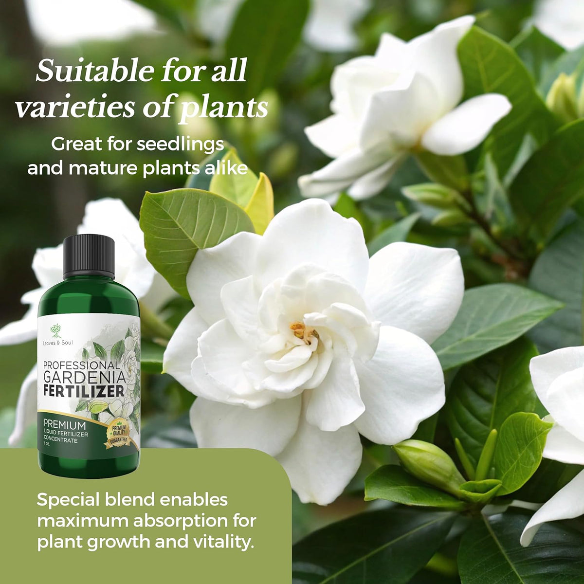 Professional Liquid Gardenia Plant Fertilizer | 3-1-2 Concentrate for Flowering Plants |
