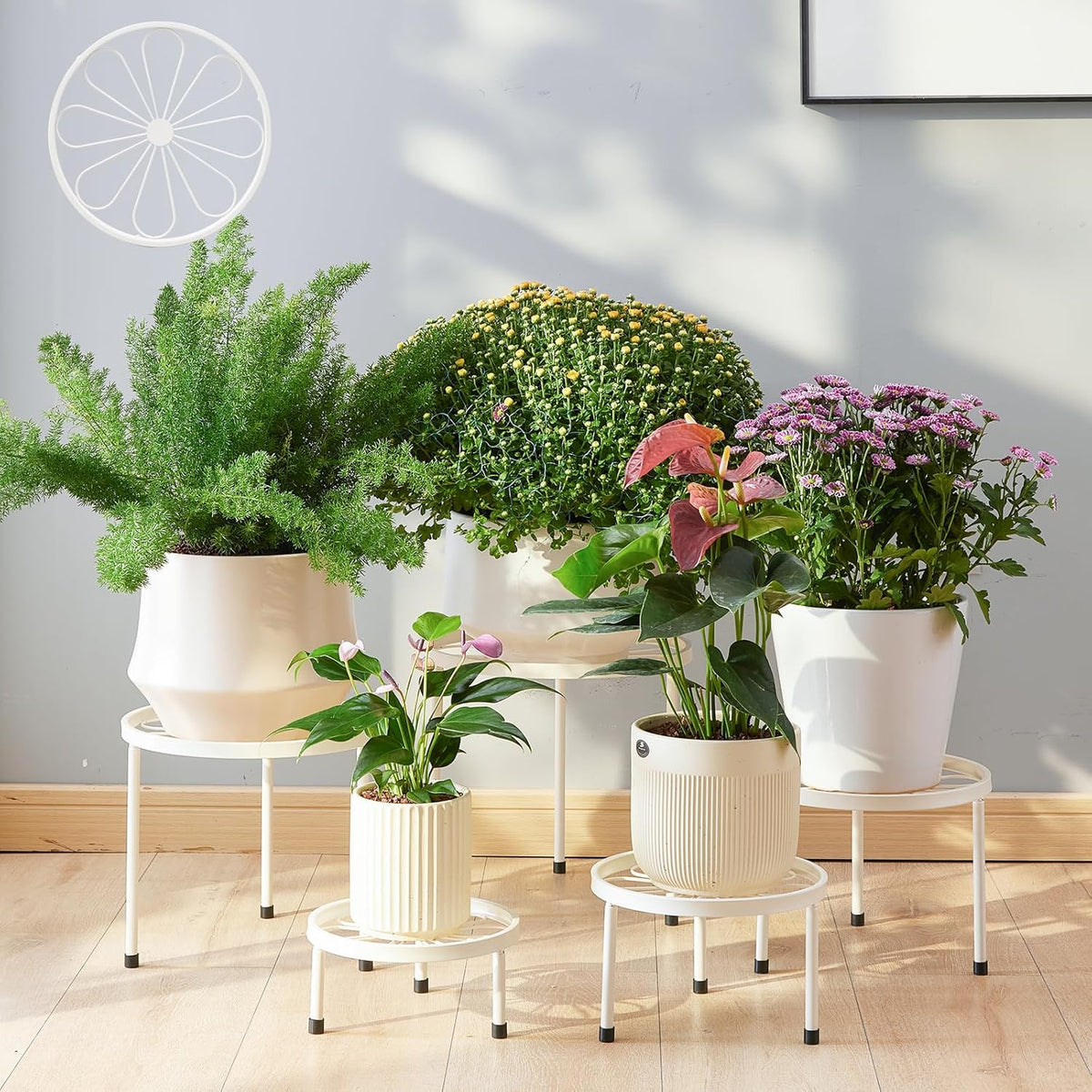 Plant Stand,5 Pack Heavy Duty Flower Pot Stands,Metal Decoration Racks,Round Plant Shelf for