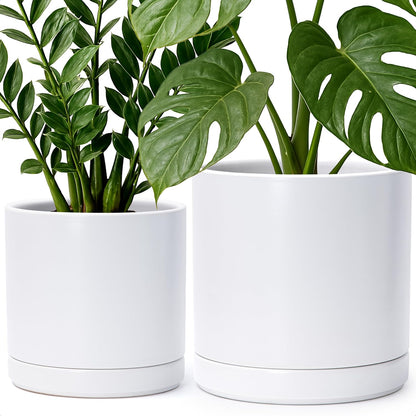 D'vine Dev 8.2 Inch & 10 Inch Ceramic Planter Pot for Plants with Drainage Hole and Saucer, Large