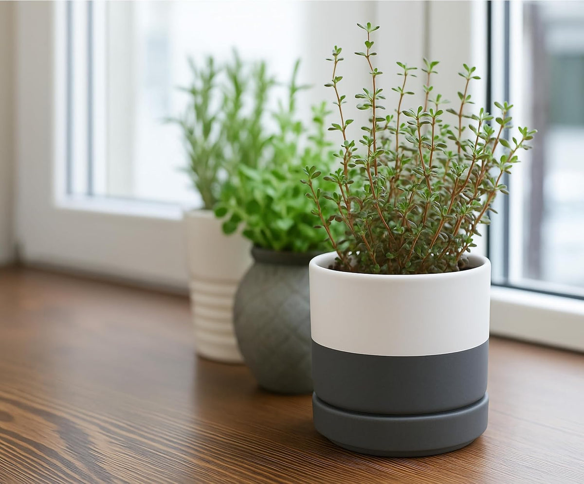 D'vine Dev 4.7 Inch Ceramic Planter Pot with Drainage Hole and Saucer, Indoor Cylinder Round