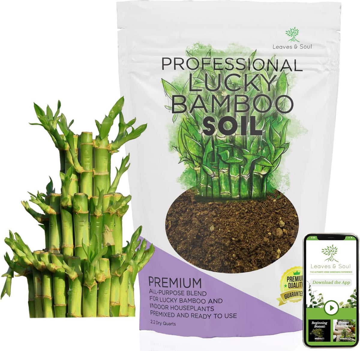 Professional Lucky Bamboo Soil | Large 2.2 Quarts Ready to Use for Lucky Bamboo Plants | Peat Moss