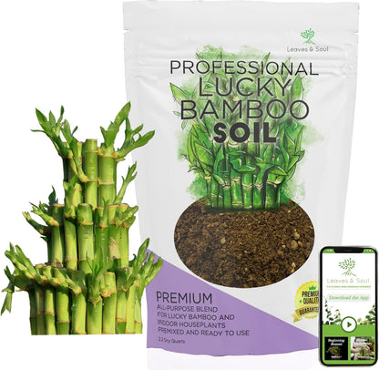 Professional Lucky Bamboo Soil | Large 2.2 Quarts Ready to Use for Lucky Bamboo Plants | Peat Moss