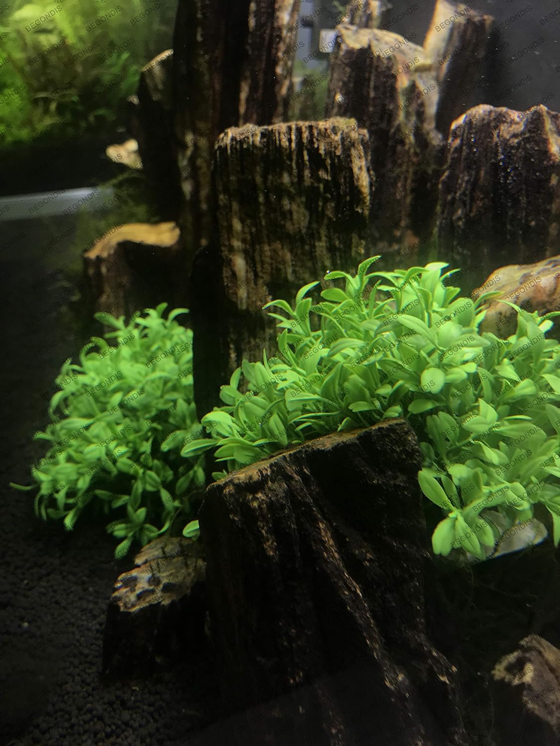 BEGONDIS Aquarium Decorations Fish Tank Artificial Green Water Plants Made of Soft Plastic, Safe