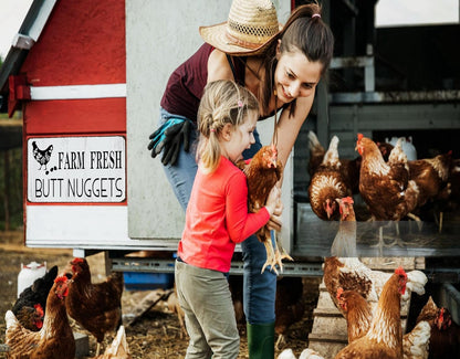 Funny Chicken Gifts Chicken Farm Fresh Butt Nuggets Tin Sign for Home Farm Chicken Coop Farmhouse