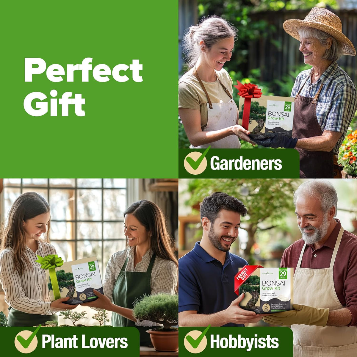 HOME GROWN 𝗨𝗦𝗔 Bonsai Tree Kit – 6 Heirloom Varieties with Unique Pots – DIY Bonsai Starter Kit