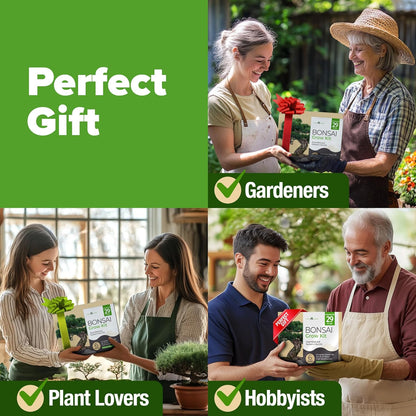 HOME GROWN 𝗨𝗦𝗔 Bonsai Tree Kit – 6 Heirloom Varieties with Unique Pots – DIY Bonsai Starter Kit
