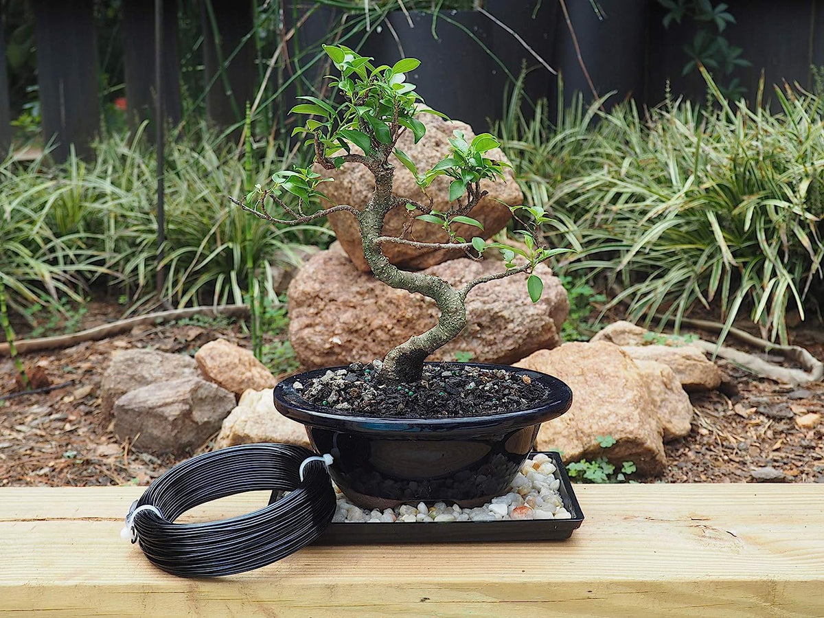 Black-3.5-Anodized Aluminum Bonsai Training Wire 250g Large Roll,Many Size to Choose,KSVZS Bendable