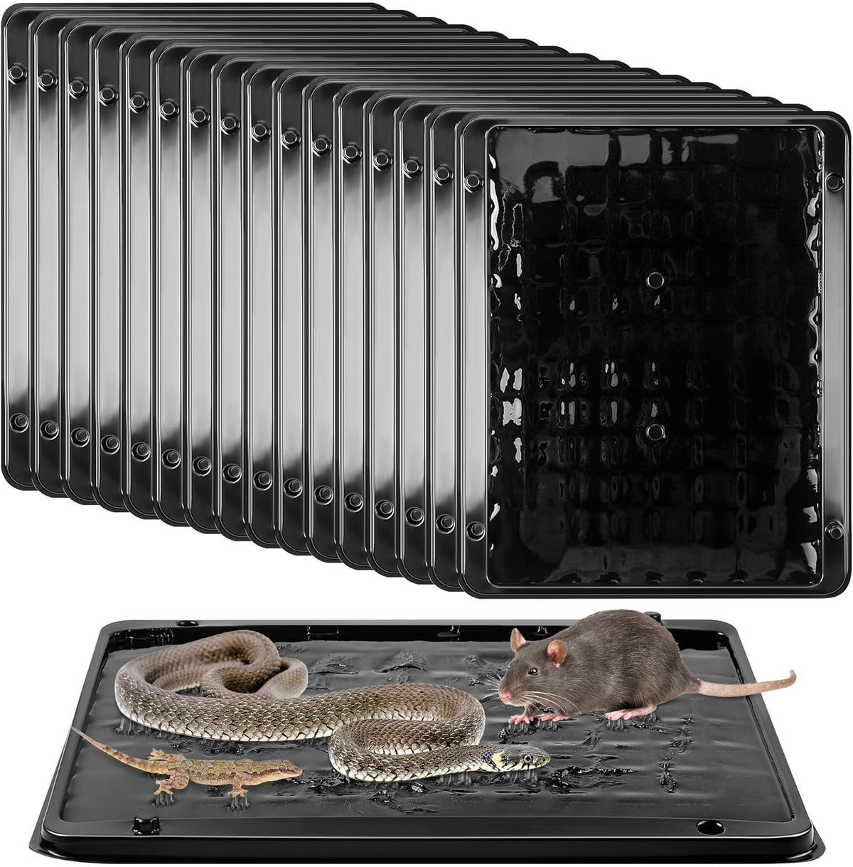 Qualirey 16 Pack Jumbo Rat & Mouse Glue Traps, 11.8 X 9.84 in Large Heavy Duty Mouse Traps Indoor