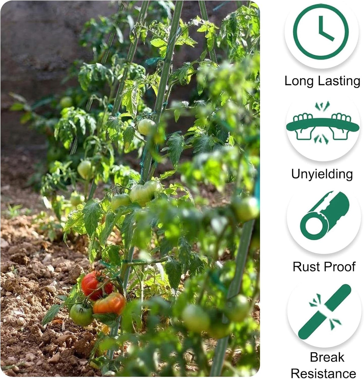 Garden Stakes 30 Inches Steel Plant Stakes Tomato Stakes Pack of 25