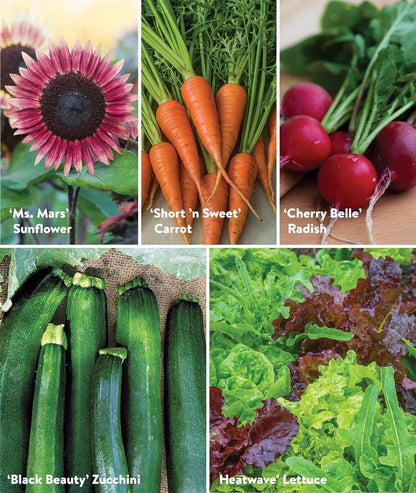 Burpee Garden Sown Flower, Herb & Vegetable 10 Packs of Non-GMO Basil, Lettuce, Cucumber, Radish