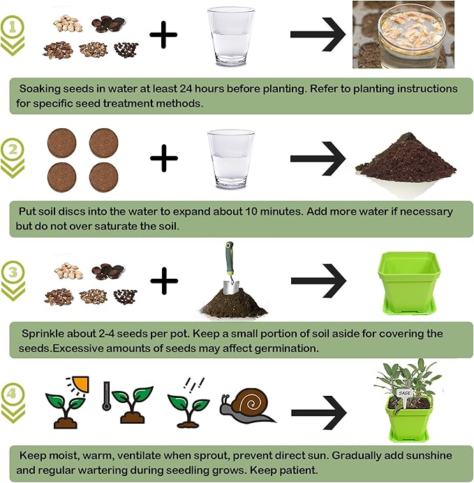 10 Herb Seeds Garden Starter Grow Kit with Green Pots, Markers, Nutritional Soil, Watering, Herb