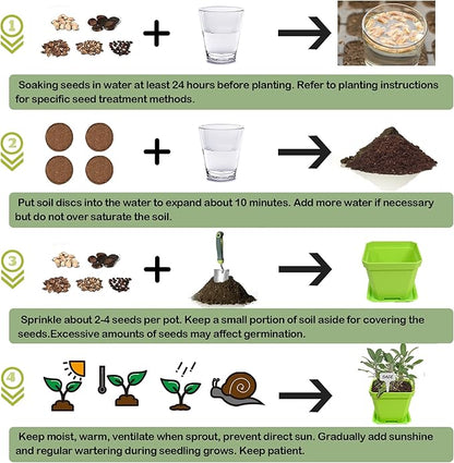 10 Herb Seeds Garden Starter Grow Kit with Green Pots, Markers, Nutritional Soil, Watering, Herb